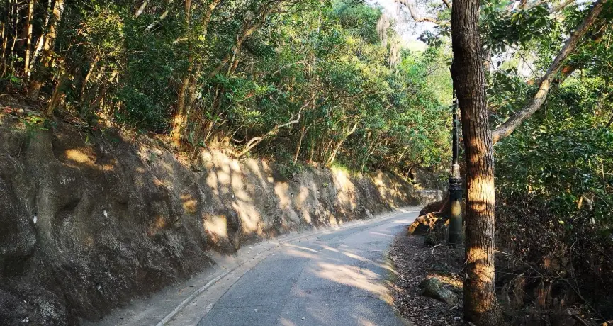 山頂纜車時間 山頂纜車時間