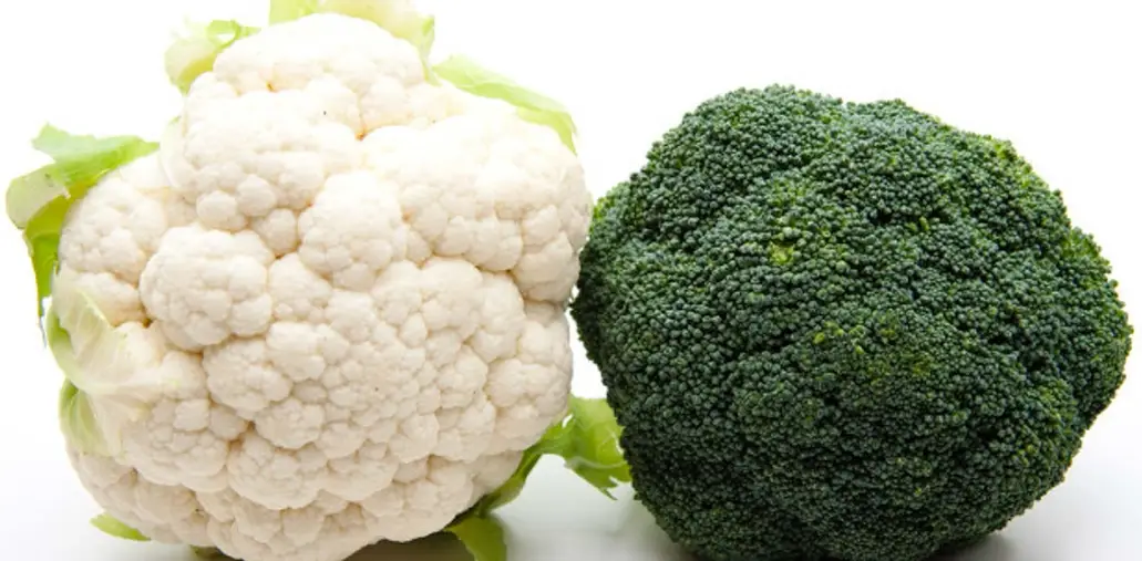 水煮花椰菜營養