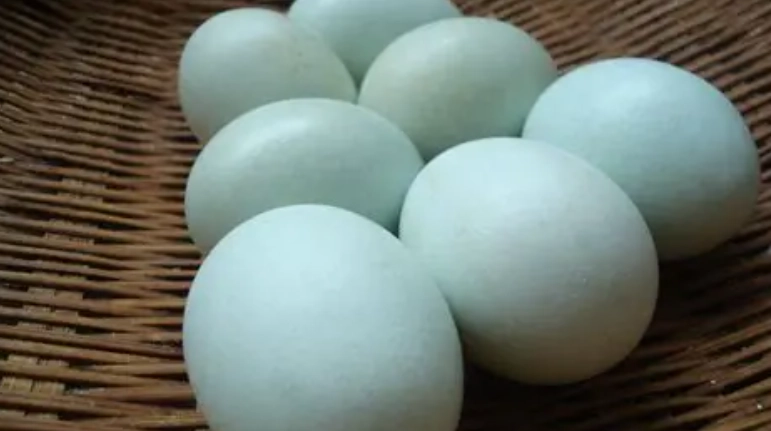 烏骨雞蛋怎麼吃
