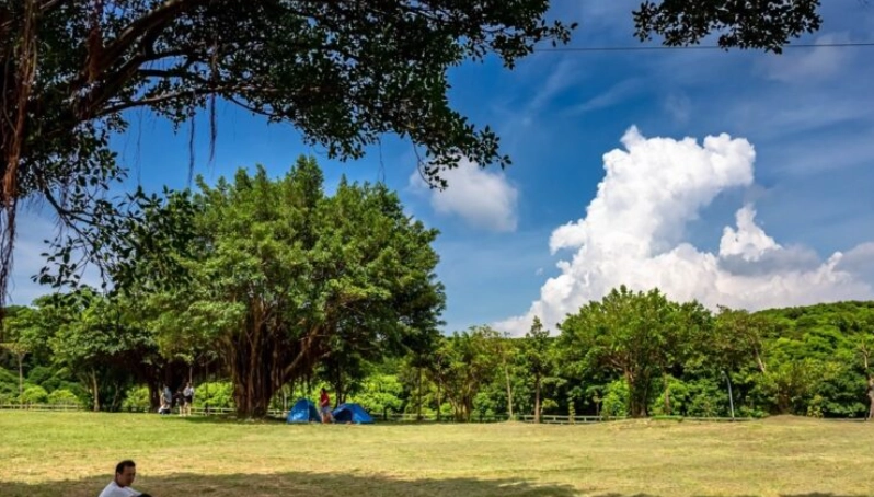 桃園 無障礙 景點 桃園 無障礙 景點
