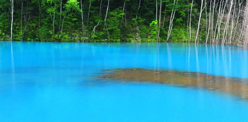 北海道自駕攻略 北海道自駕攻略