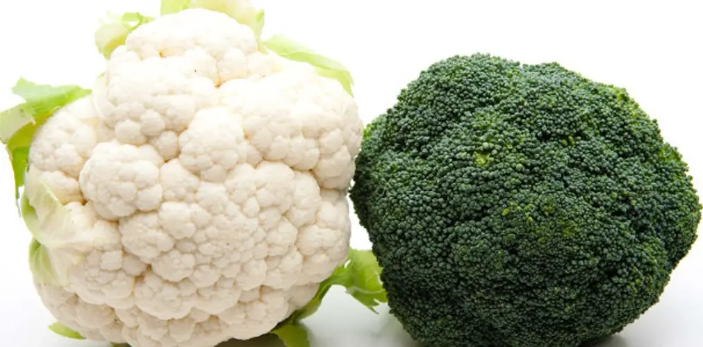 青花菜保存方法