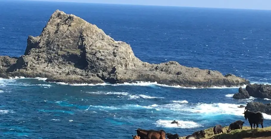 綠島自由行花費 綠島自由行花費