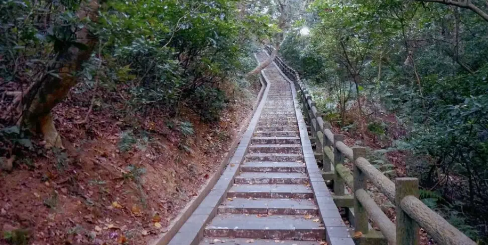 新竹大自然景點全攻略：探索城市綠洲與郊野祕境的完整指南