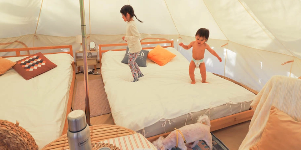 帶寵物露營 帶寵物露營