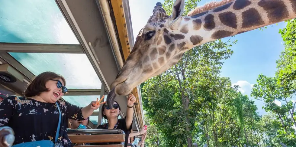 清邁旅遊安全 清邁旅遊安全