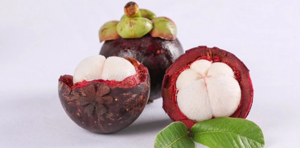 山竹空腹食用 山竹空腹食用