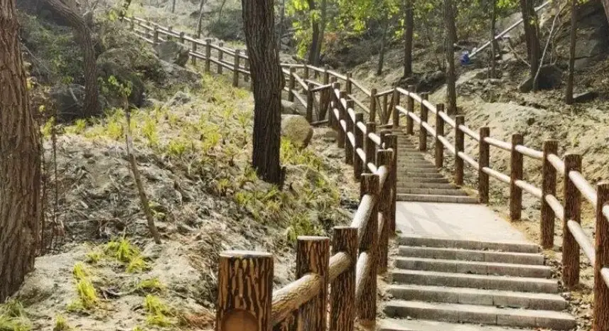 台灣初級步道 台灣初級步道