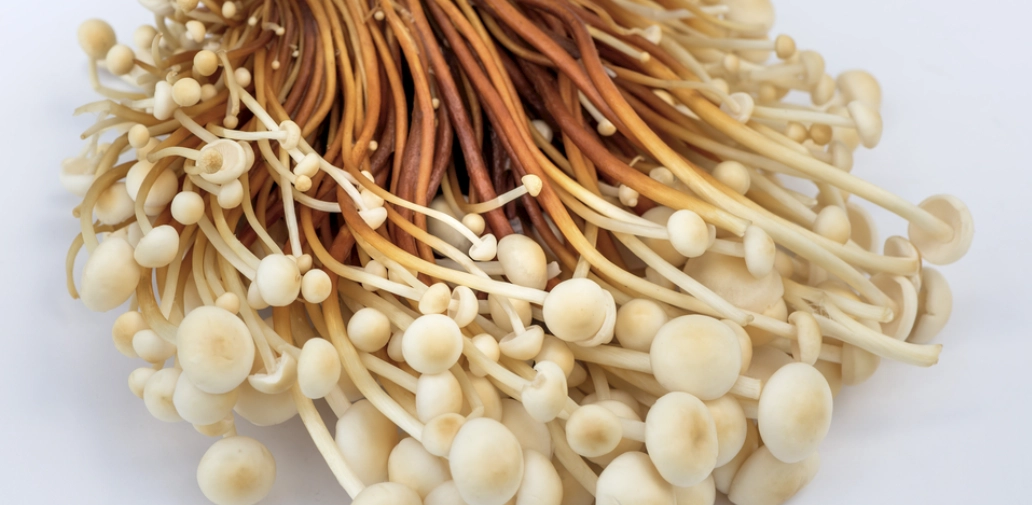 金針怎麼處理？清洗、保存與料理完整教學