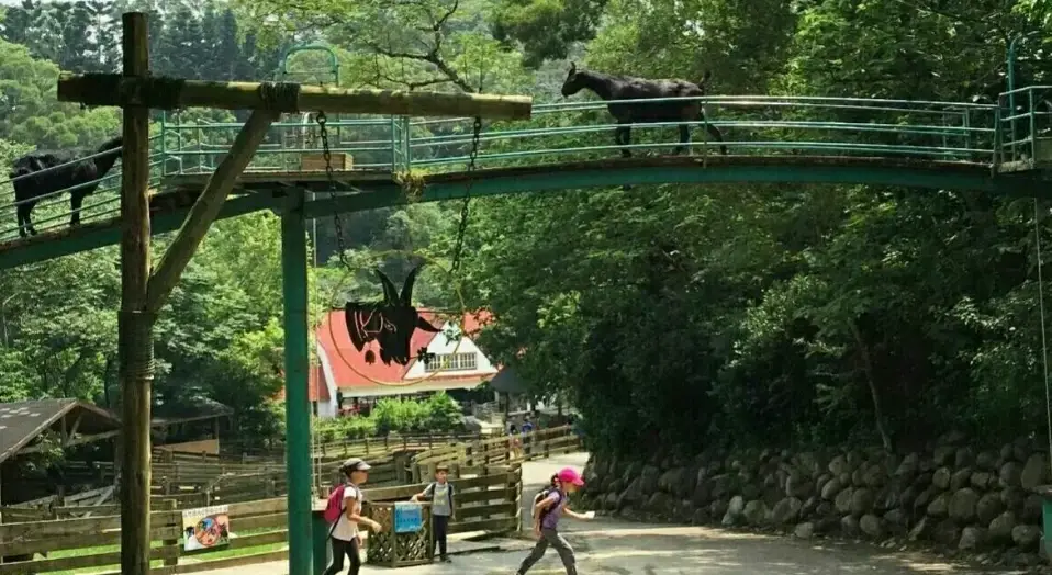 苗栗親子室內景點 苗栗親子室內景點