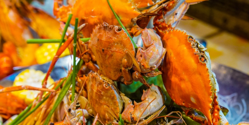 大阪京都奈良行程 大阪京都奈良行程