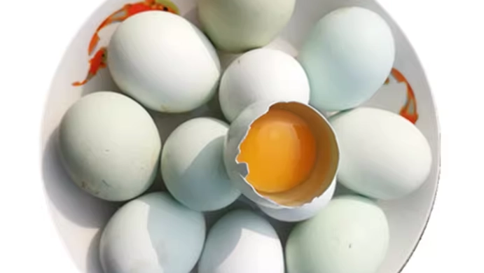 烏骨雞蛋營養