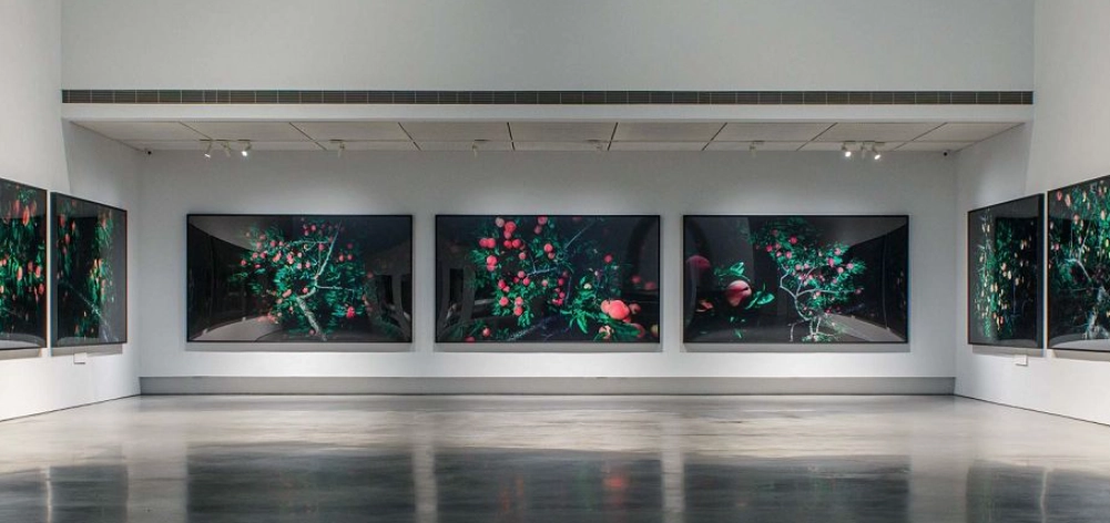 高雄室內親子景點 高雄室內親子景點