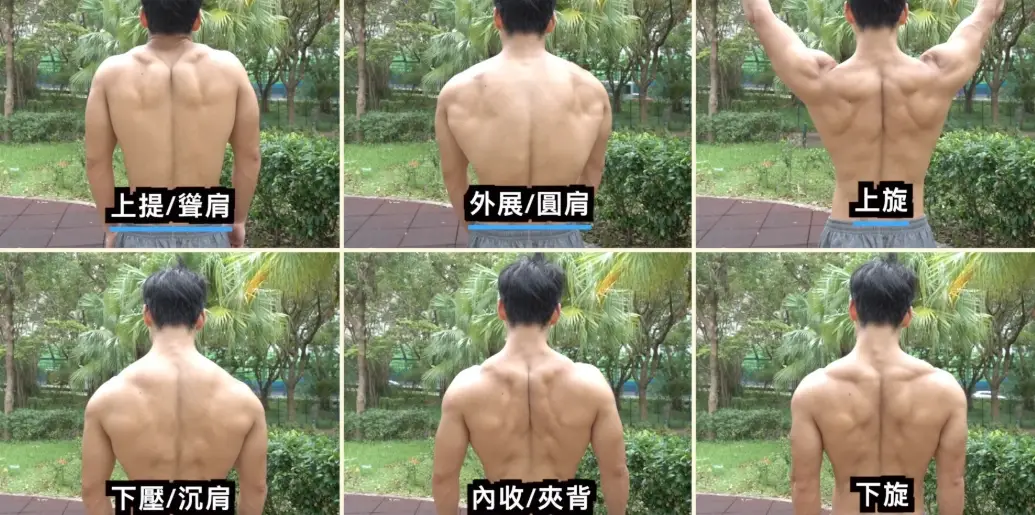 背肌訓練計畫 背肌訓練計畫