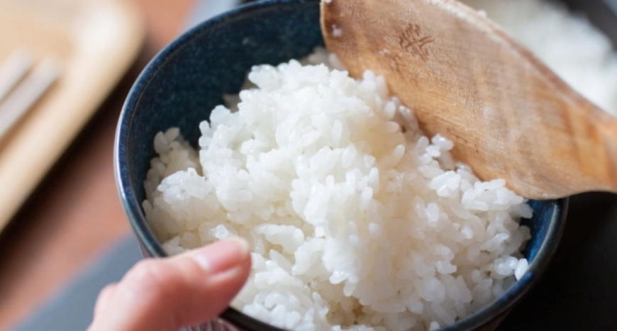 冰箱剩飯處理 冰箱剩飯處理