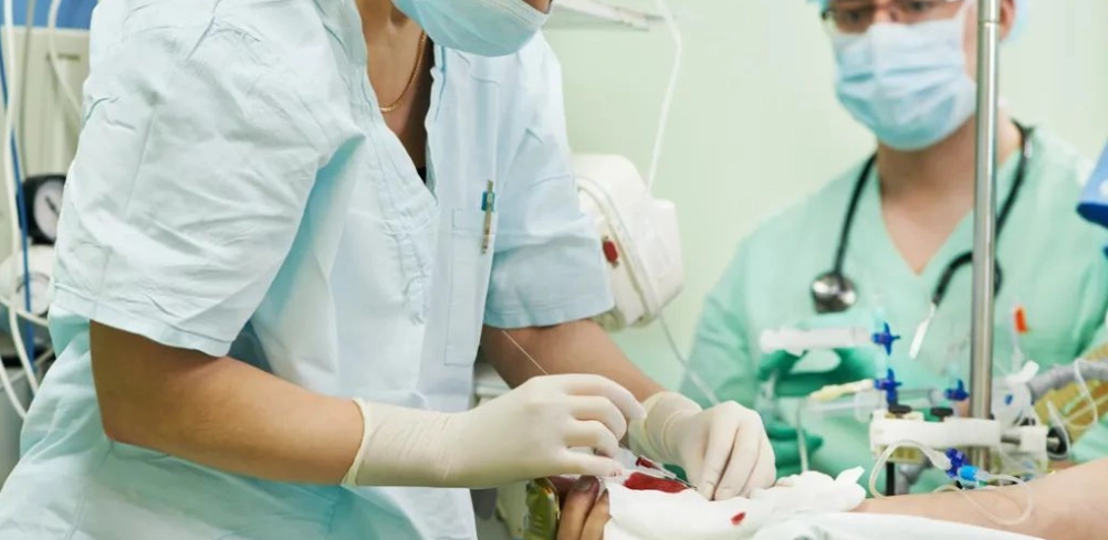 麻醉恢復期 照護 麻醉恢復期 照護