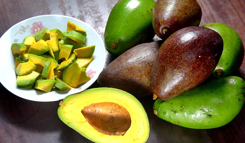 酪梨保存冷凍技巧大公開！延長賞味期的完整指南