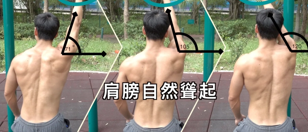 背肌訓練計畫 背肌訓練計畫