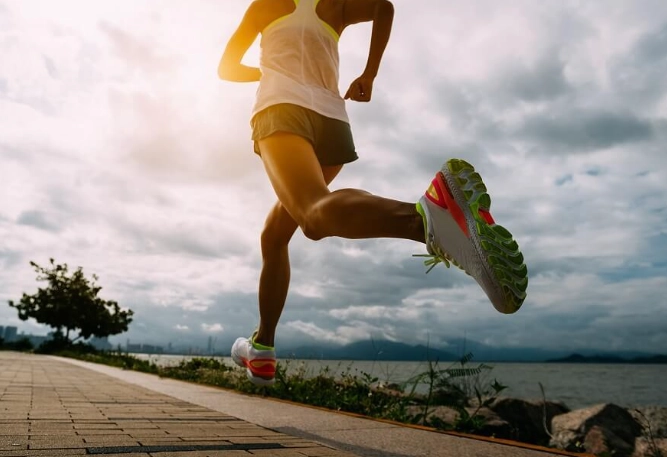 膽固醇運動推薦 膽固醇運動推薦