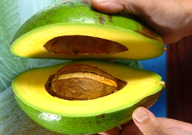 切開酪梨如何保存 切開酪梨如何保存