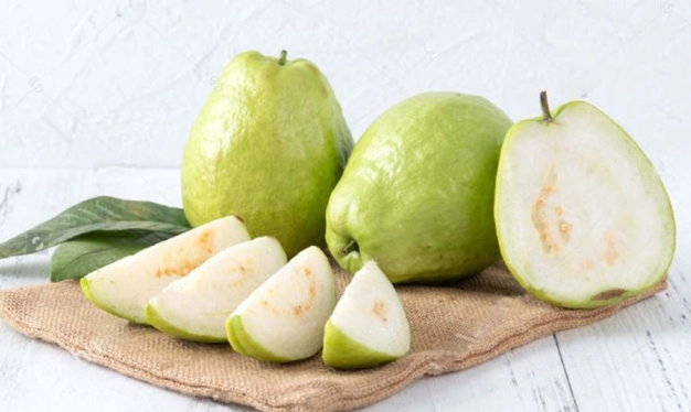 蕁麻疹食物 蕁麻疹食物