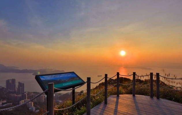 陽明山樹洞 陽明山樹洞