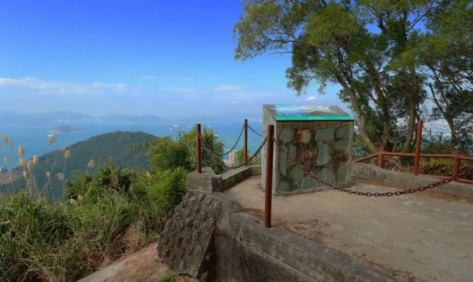陽明山樹洞 陽明山樹洞