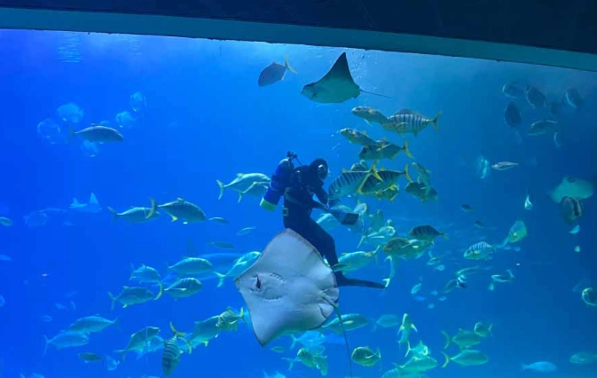 屏東海生館一日遊 屏東海生館一日遊