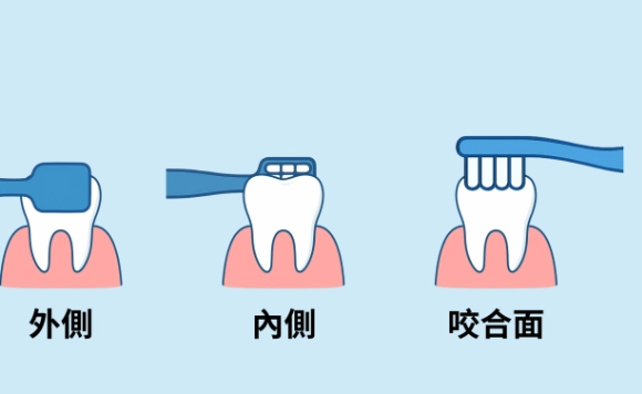 刷牙技巧完整指南：從貝氏刷牙法到牙線使用，告別牙菌斑