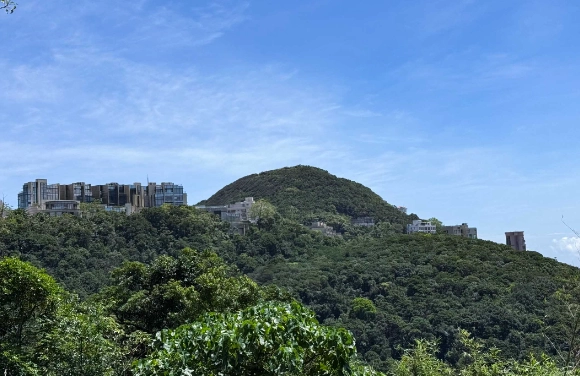 奇力山路线健行全攻略：交通、秘境與安全指南