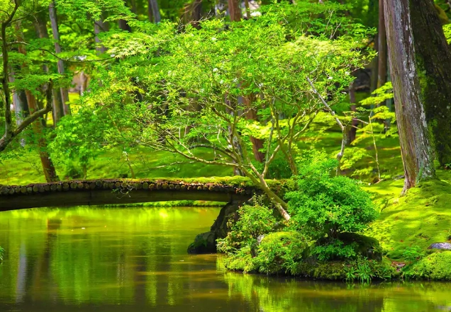 京都隱藏景點深度探索：避開人潮的私房散步路線