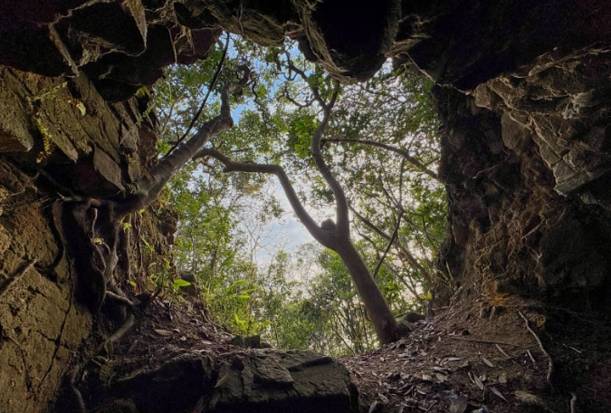 西高山一樹洞登山指南：路線、交通與必拍秘境全攻略
