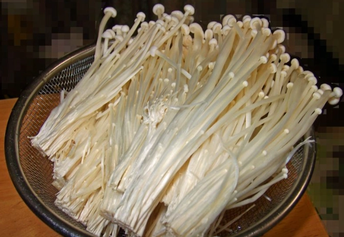 金針菇健康影響 金針菇健康影響