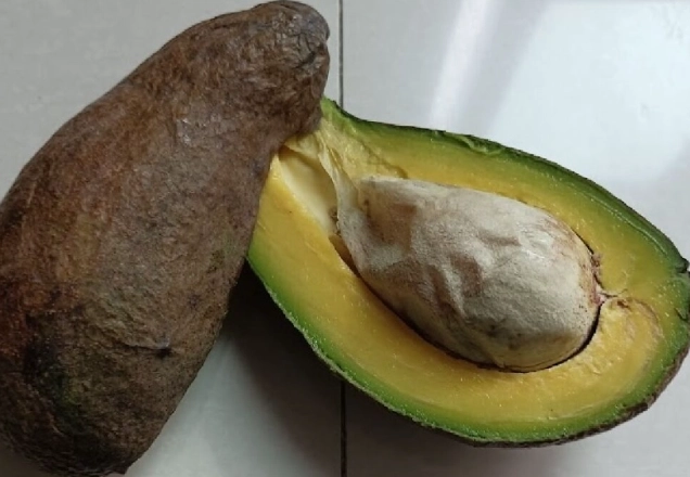 酪梨變黑可以吃嗎？專家教你3秒判斷與3招搶救法