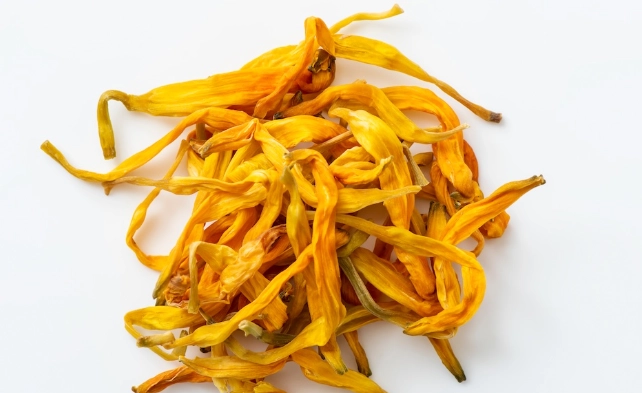 金針花料理 金針花料理