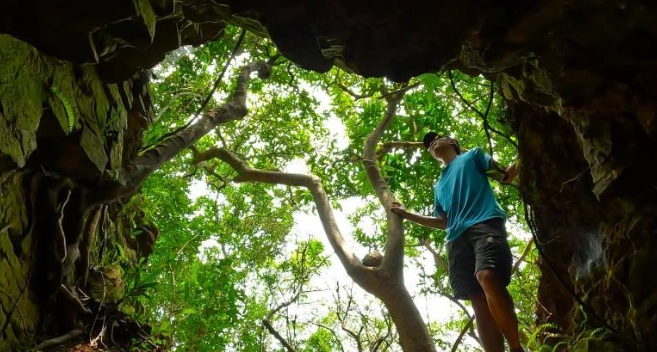 西高山登山步道 西高山登山步道