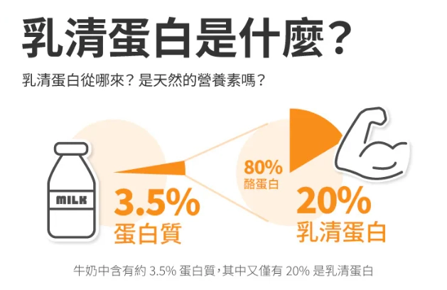 生病乳清蛋白怎麼選？專家指南與安全食用守則