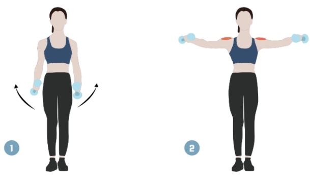 徒手肩膀訓練 徒手肩膀訓練