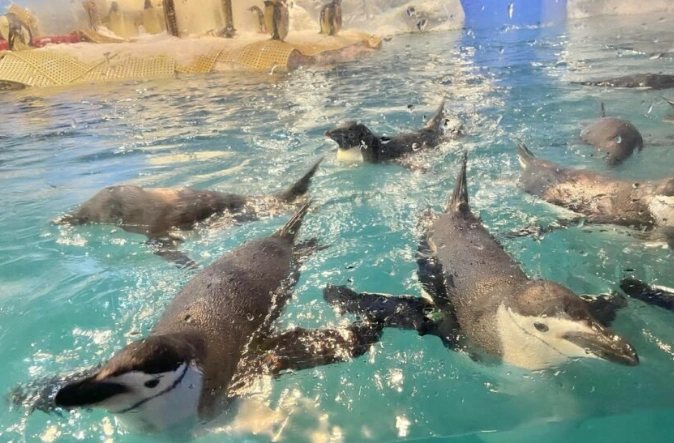 屏東海生館 一日遊 行程 屏東海生館 一日遊 行程