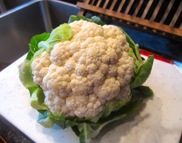 快速料理 快速料理