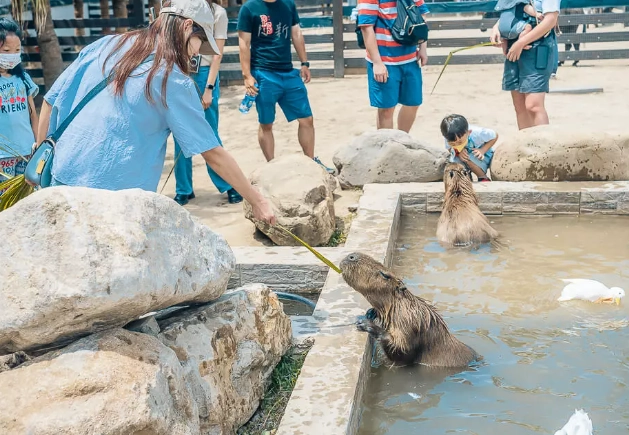 綠世界生態農場