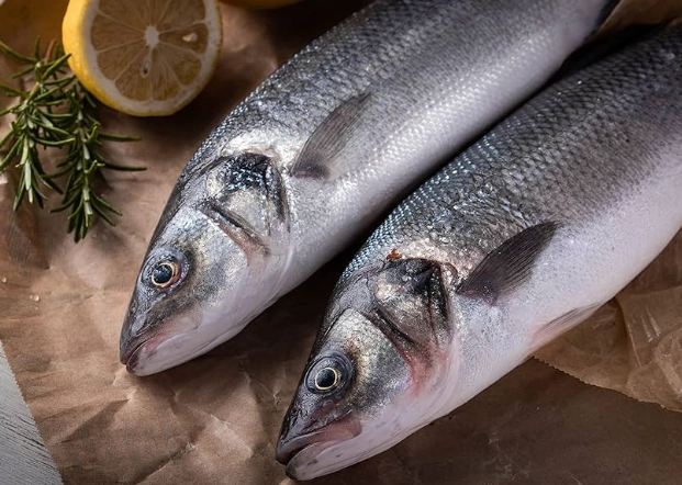 新鮮魚放雪櫃終極指南：保存技巧、常見錯誤與專家建議