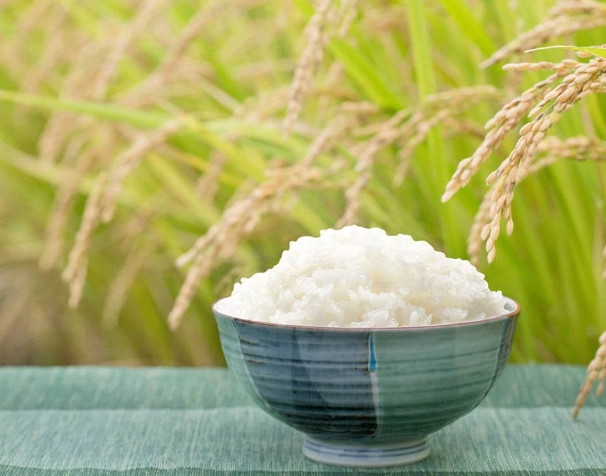 米可以冷凍嗎 米可以冷凍嗎