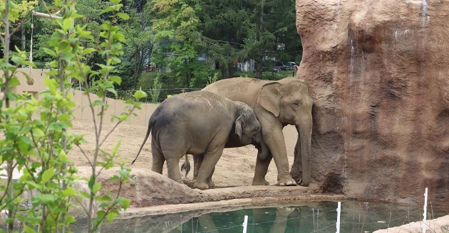 北海道旅遊攻略
