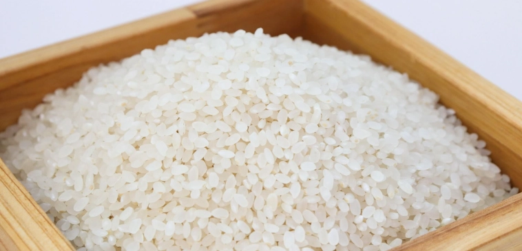 如何防止米長蟲 如何防止米長蟲