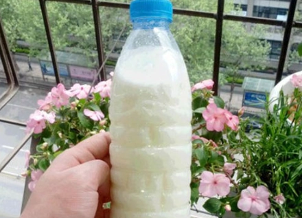 牛奶澆花 牛奶澆花