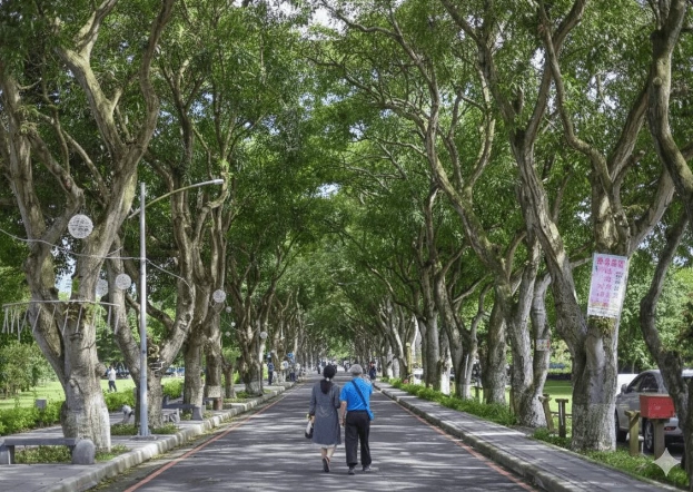雲林免費景點懶人包：從北港到古坑，省錢玩遍精華景點