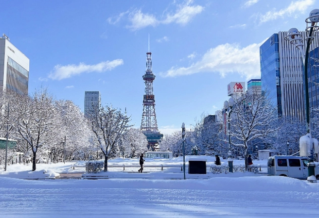 北海道八日遊自由行攻略：行程規劃、交通預算與必去景點全解析