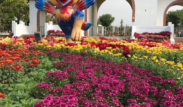 彰化輪椅友善景點 彰化輪椅友善景點