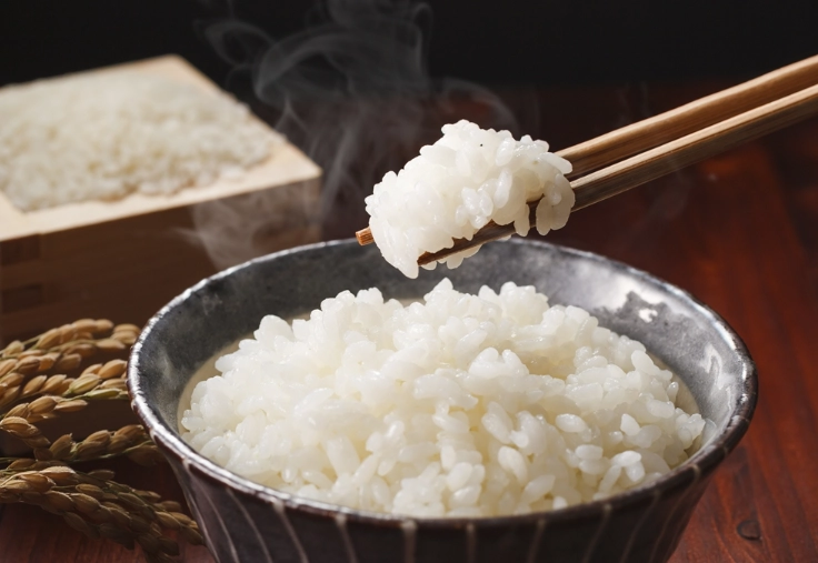 電鍋加熱隔夜飯 電鍋加熱隔夜飯